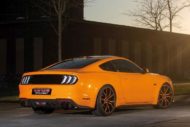 PS Sattlerei Ford Mustang GT Fury Orange Tuning 8 190x127
