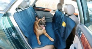 Autoschondecke Autodecke Kofferraumdecke Hund 2 310x165 Mit einer Autoschondecke bleibt die Rückbank sauber!