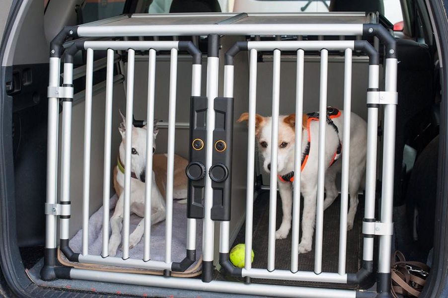 Transportbox Hund Dog Box Nachrüsten Kofferraum 2 E1594716459538