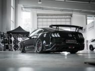 Airride chassis and 700 hp Schropp Ford Mustang GT 6 190x143