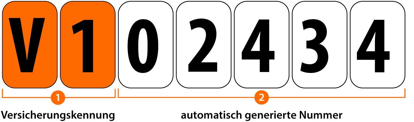 Kurzzeitversicherung 3-Tage für PKW Deutschland Doppelkarte sofort billig online 