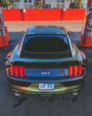 "Dapper Grinch" - Ford Mustang GT à carrosserie large décrochée!