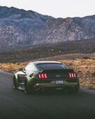 “Dapper Grinch” geklonken widebody Ford Mustang GT!