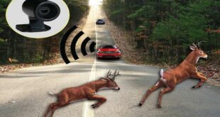 Faune Warner High Frequency Warner Ultrasound Car 2 310x165 Utilisez-vous des avertisseurs acoustiques pour éviter les accidents avec la faune?