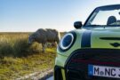 With the 2021 MINI John Cooper Works Cabrio on Sylt!
