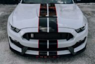 Ford GT taillights on the 2017 Shelby Mustang GT350!