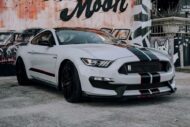 Fanali posteriori Ford GT sulla Shelby Mustang GT2017 350!