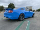 Grabber Blue, manualna skrzynia biegów i 660 PS w Fordzie Mustang GT 5.0!