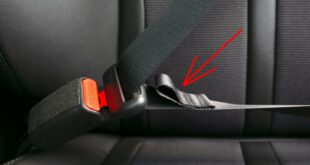 Schlaufe Sicherheitsgurt 310x165 Darum fehlt beim Sicherheitsgurt auf der Fahrerseite die Schlaufe!