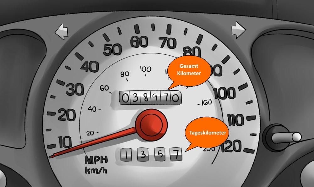 Odometer Anzeige Tacho Auto Bedeutung 1
