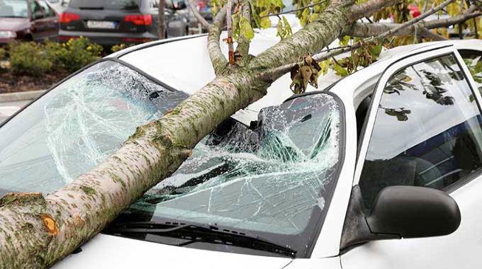 ast auf auto sturmschaden wald baum Infos zur Autoversicherung: Die Leistungen und worauf achten!