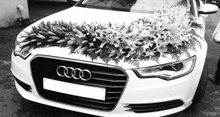 Wedding car Flower decoration Marriage Penalty Fine 2021 4th