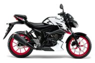 Powerful acceleration meets sporty revving - the new Suzuki GSX-S125