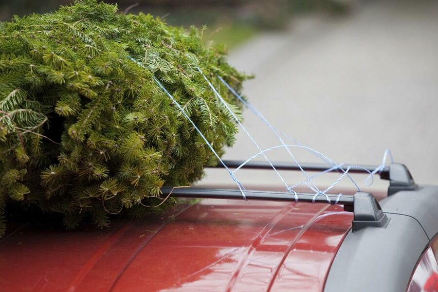 Weihnachtsbaum Christbaum Fahrzeugdach transport e1638873231874 Der Dachtransport: Das darf rauf aufs Fahrzeugdach!