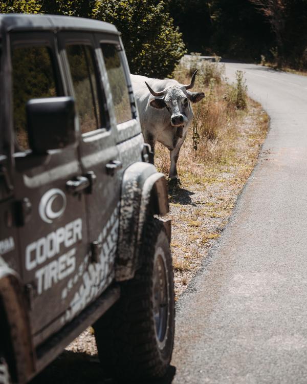 Delta4x4 Jeep Wrangler Rubicon Cooper Andorra Cow