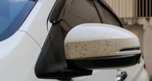 harz Teer Insekten entfernen auto hausmittel fahrzeug WD40 2 e1646305218314 310x165 So entfernst du Insekten, Teer und Harzspuren vom Fahrzeug!