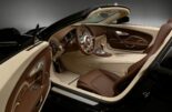 Bugatti Veyron 16.4 Grand Sport Vitesse 2022 7 155x101