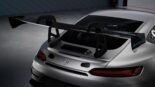¡El nuevo Mercedes-AMG GT2 amplía el programa de carreras para clientes!