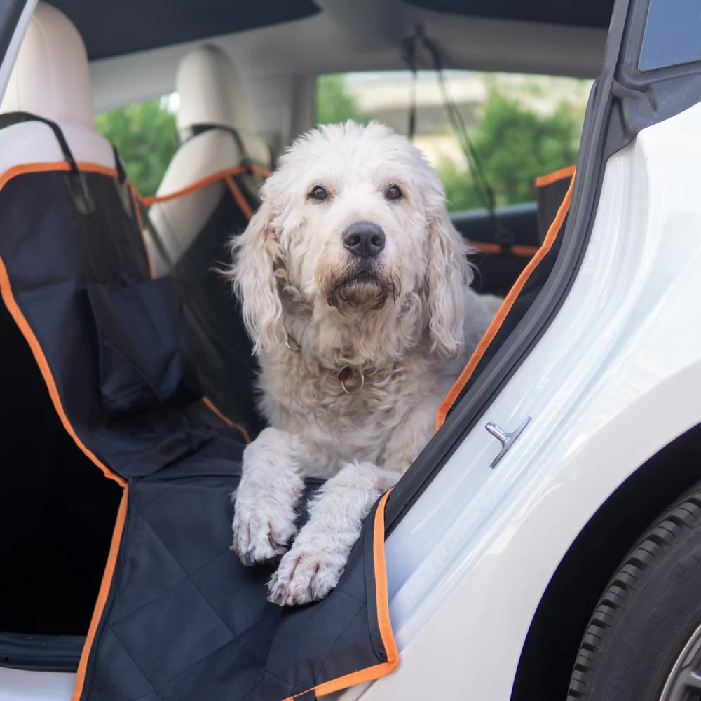 Tesla Model 3 Dog Blanket