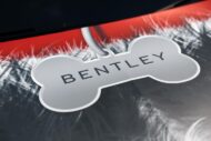 Bentley the herding dog: special Bentayga shows special coat of paint for "Goodwoof"!