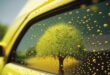 Disque de peinture automobile Pollen 110x75
