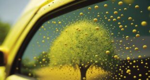 Pollen car paint disc 310x165
