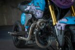 Honda fait vibrer les Wheels & Waves 2023 avec sept minibikes tuning!