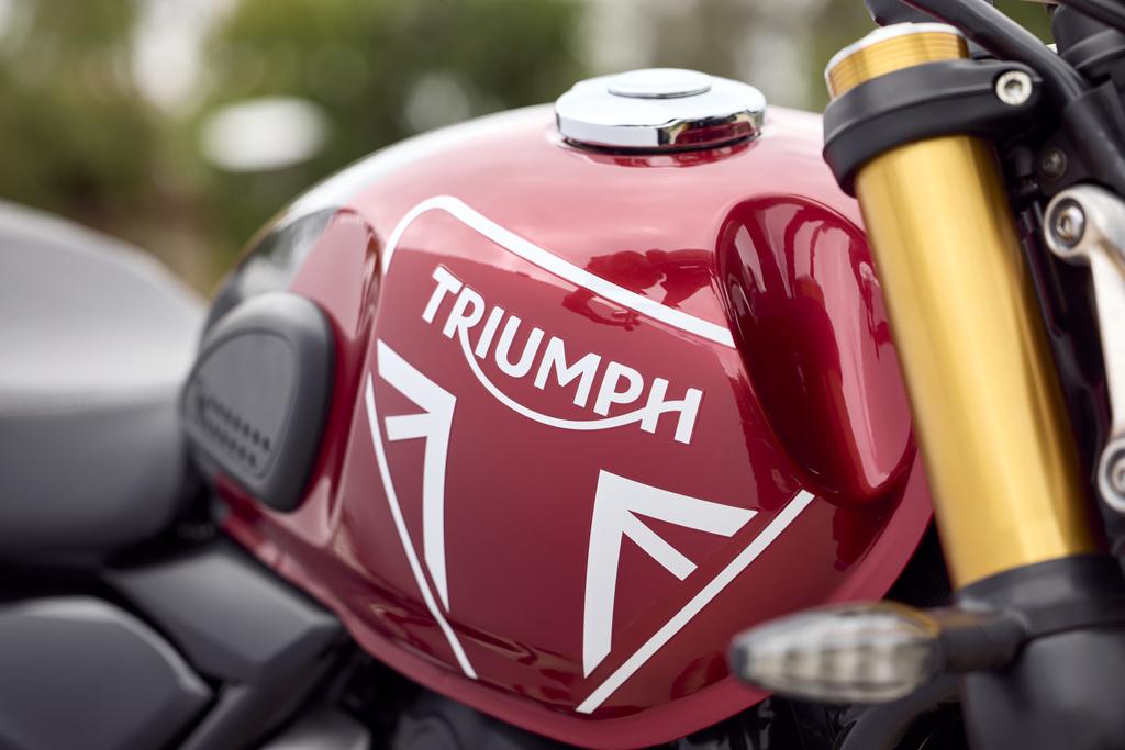 Triumph Speed 400 Details 7