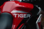 TRIUMPH präsentiert die Tiger 900 Aragón Editionen (2024)!