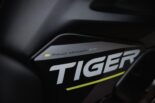TRIUMPH przedstawia Tigera 900 Aragón Editions (2024)!