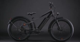 Riese & Müller Culture E-Bike: ¡Diseño elegante, Bosch SX y batería fija!