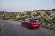 Alfa Romeo unveils “Tributo Italiano” special models 2024!